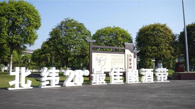 2026年1月9日 第11页