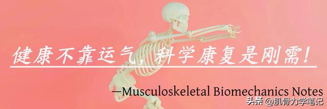 x型腿和o型腿（X型腿与O型腿的评估矫正思路）