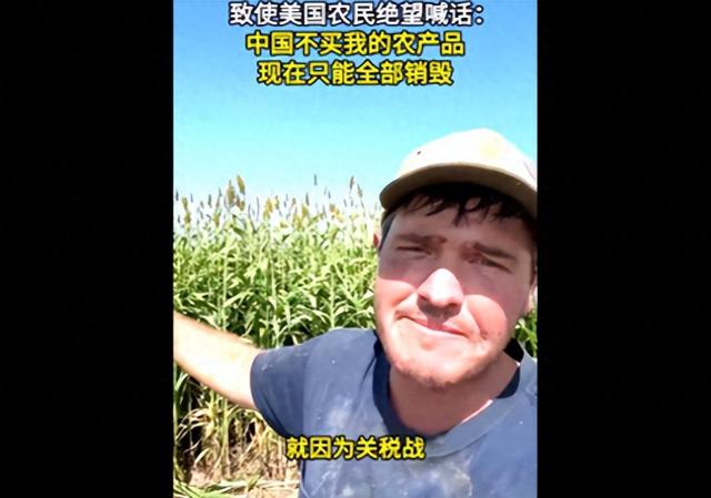 中国一单不买，美农产品只能烂在地里，美尝到反华苦果，后悔已晚