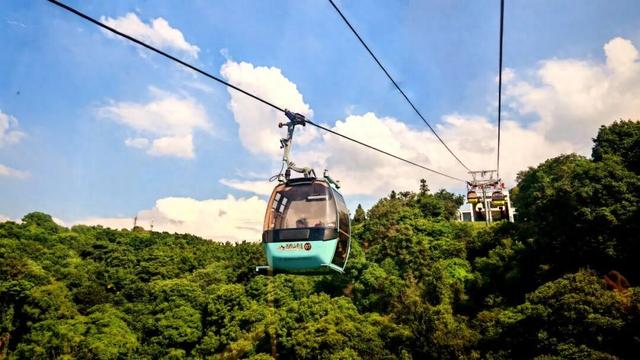 关于1月26日西樵山观光索道停运的通告