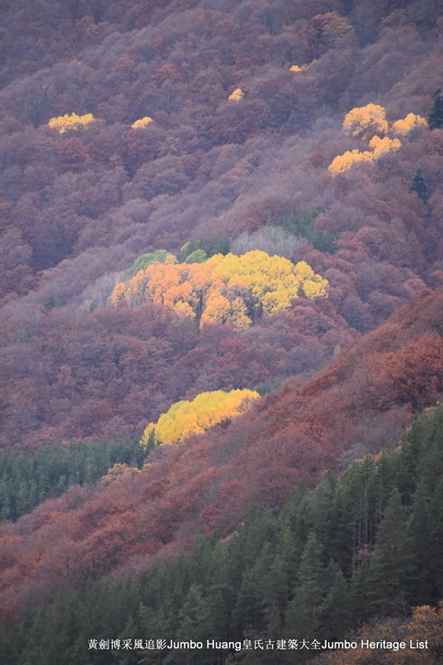 保加利亚误闯总统府
