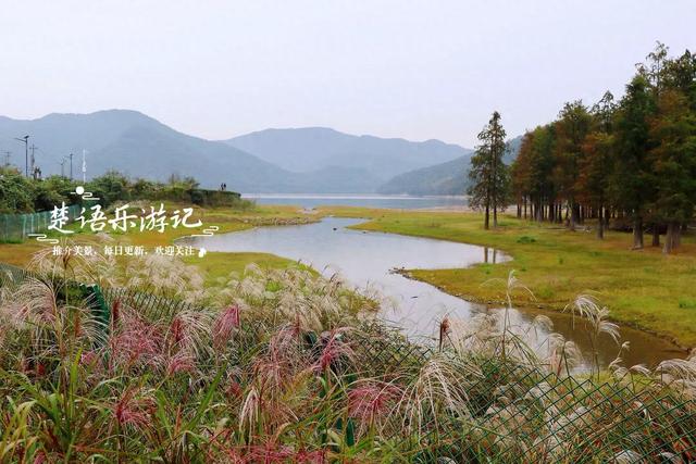 宁波这个新“阿泰勒”火了，游客络绎不绝，每人看了都会惊叹一声