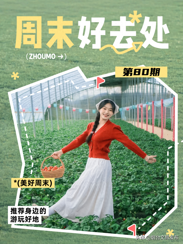 【乐游烟台】周末好去处丨公交直达！烟台家门口的游玩地太好逛了