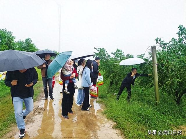周口：亲子游从传统观光走向深度体验