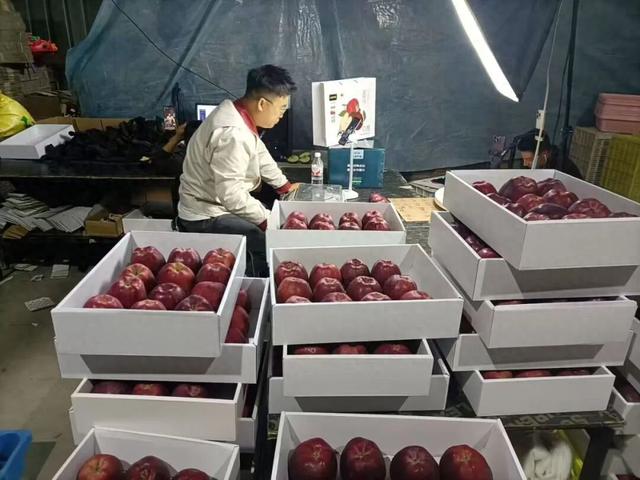 双节“云”销热潮涌！礼县电商交出亮眼成绩单