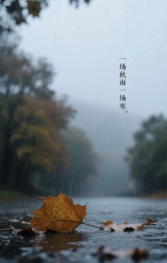 一雨成秋,十雨入冬——(抒情篇)
