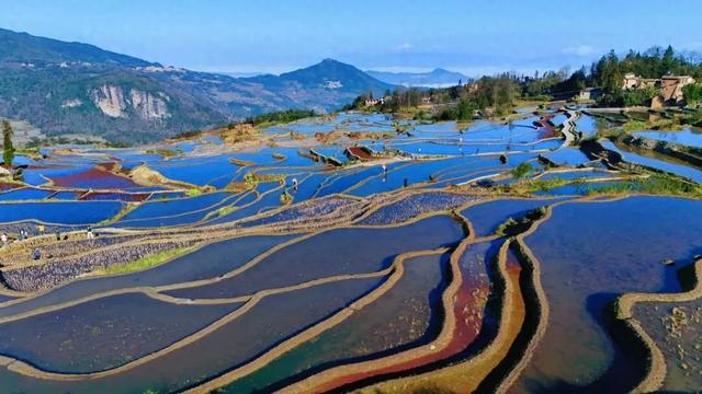 看梯田更方便了!元阳哈尼小镇开通交通专线