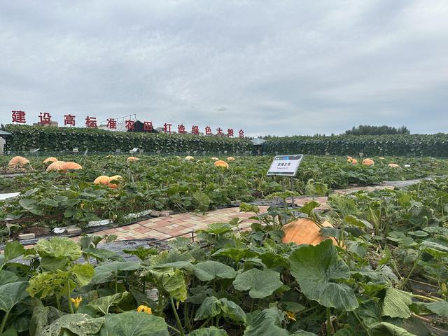 相约金色吉林·第二十四届长春农博会|这份购票攻略+联票福利，手把手教你顺利逛展！