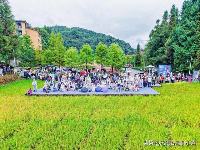 玛御谷康养旅居文化周暨腾冲第八届稻花鱼节盛大开幕
