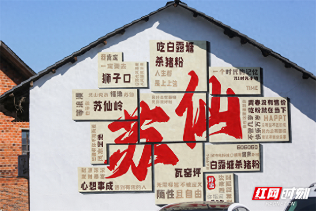 组图 | 郴州城东花海盛放引客来 粉黛格桑绘就秋日浪漫画卷