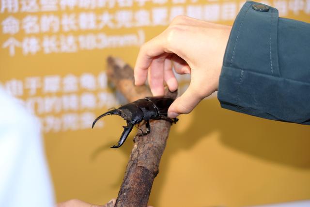 北京房山再添遛娃好去处，可体验探险、科普、娱乐