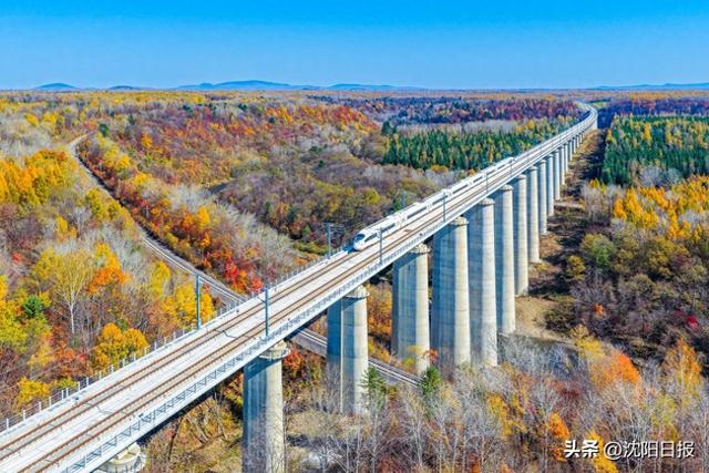 沈白高铁开启冬游模式：最低4折畅行，一路享“雪”赏景美食两不误