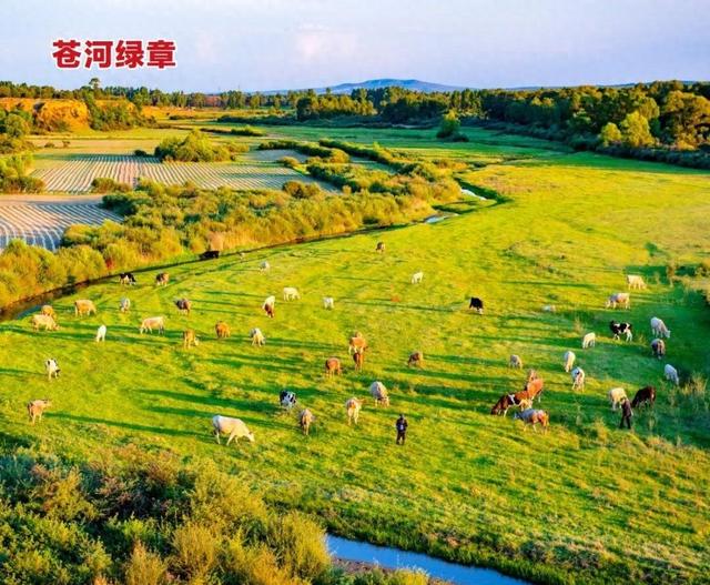 苍河绿章