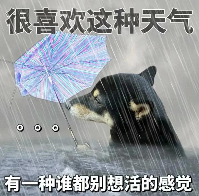 下雨朋友圈的搞笑说说（下雨天这样发）