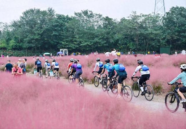 骑行经济成为“文旅载体”，“全民健身+乡村旅游”赋能乡村振兴｜新经济观察