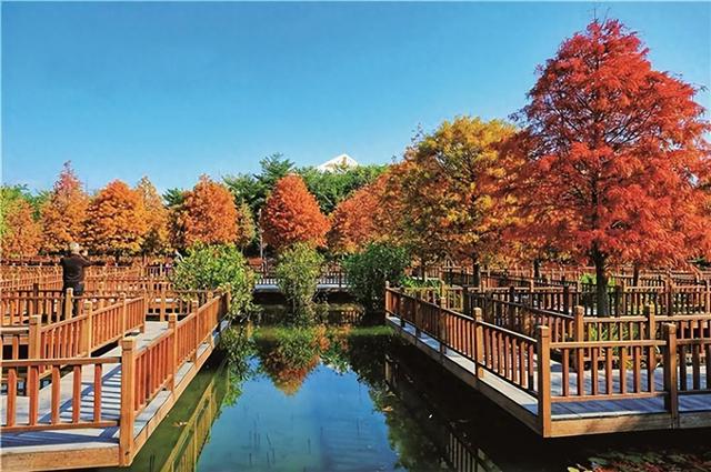 一码在手，随性游园！“湖里智慧公园”小程序正式上线