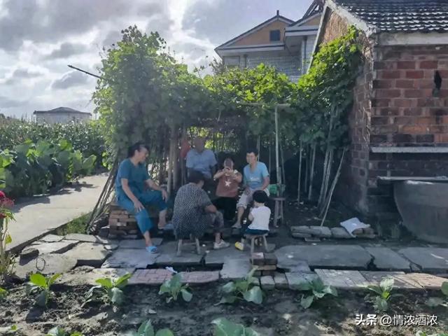 1972年我随夫戍边新疆，成两个孩子后娘，从不愿到把日子过成糖
