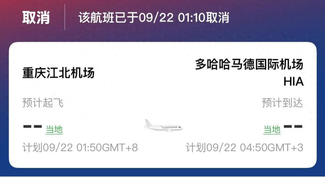 卡塔尔航空客服回应“飞机高速滑行突然急刹致航班延误”：撞到鸟群了