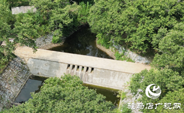 驿城区老河乡：百年古栗园 绘就生态画卷