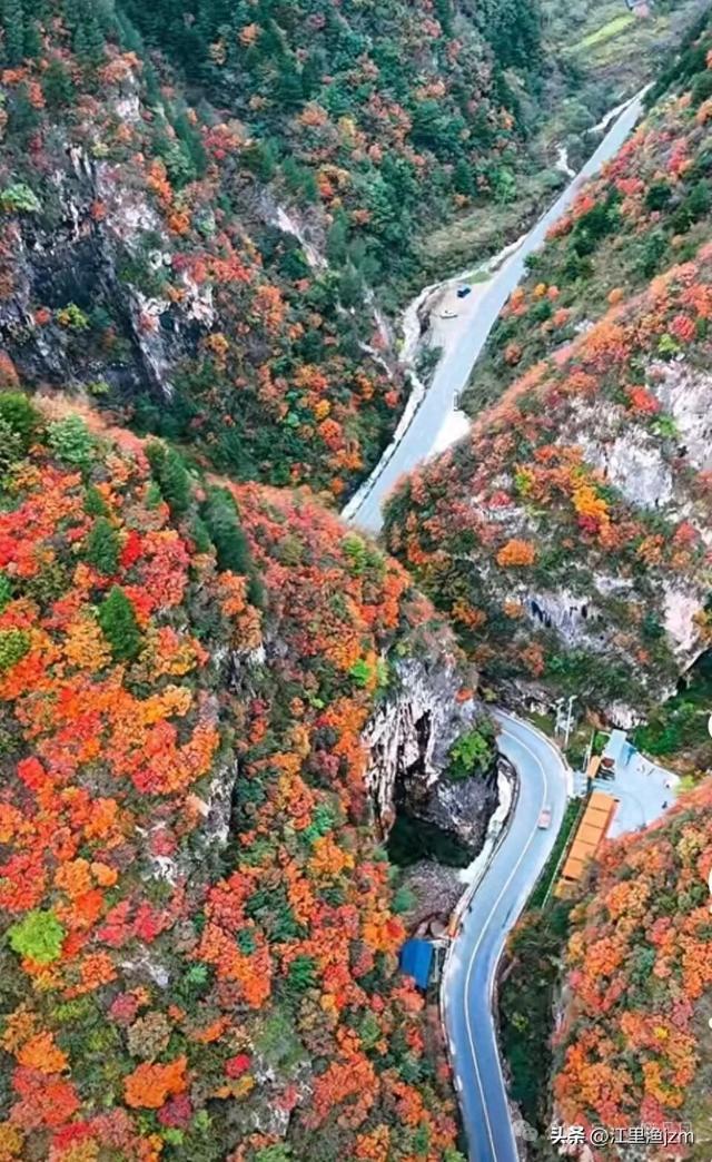 红叶漫山秋意浓