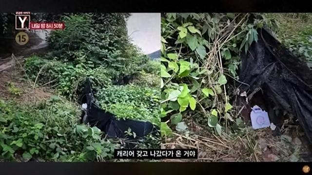 25岁女主播直播结束30分钟后发现死在山上，嫌疑人为50多岁榜一大哥，背负巨额债务伪装成CEO疯狂打赏50万