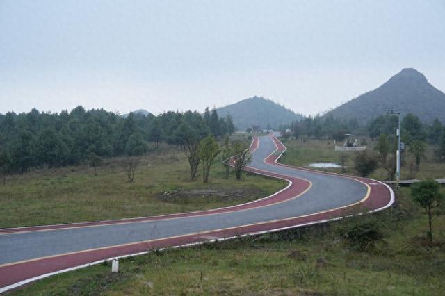 贵州百里杜鹃：“四好农村路”推动旅游经济高质量发展