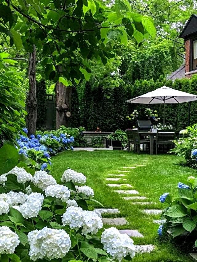 院子接地气，生活才有烟火气