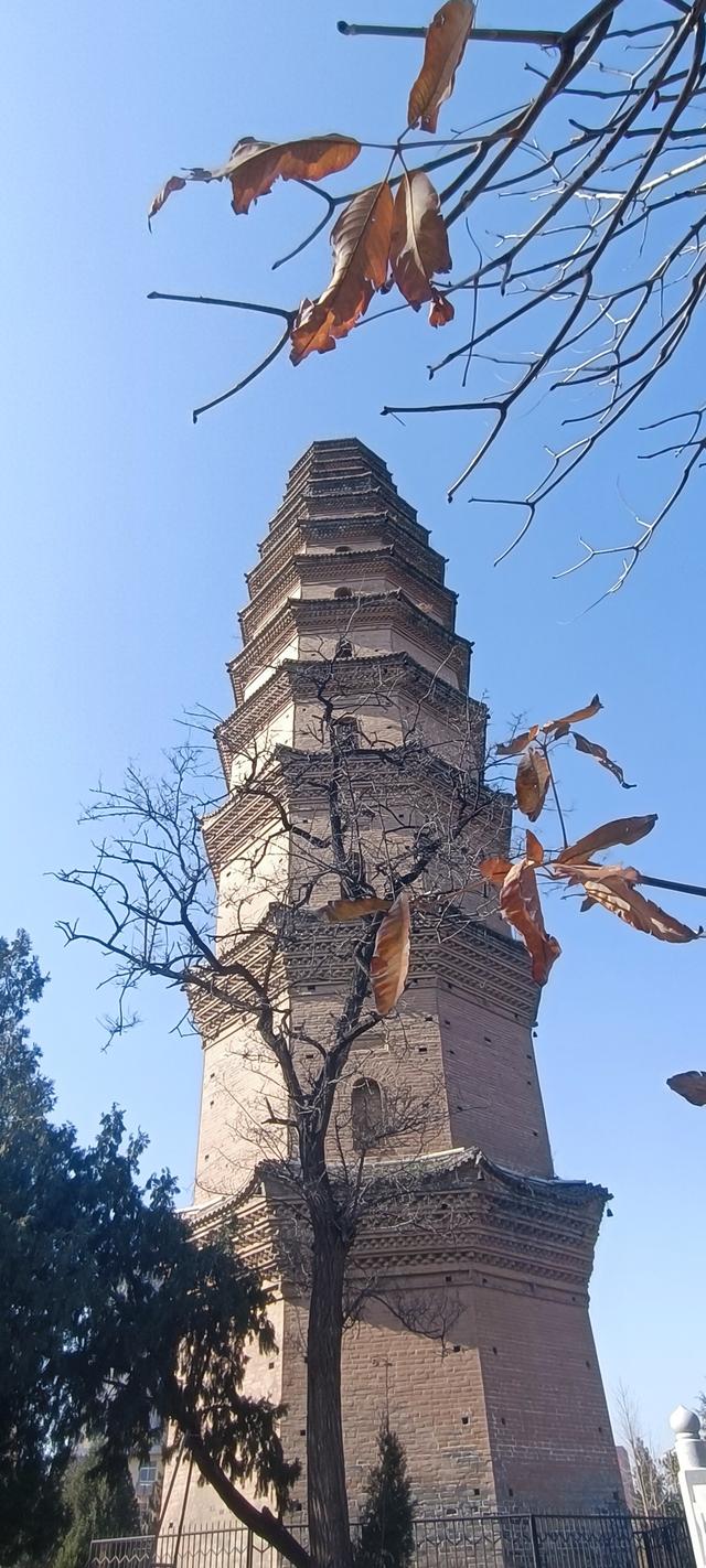 高陵昭慧塔文物展