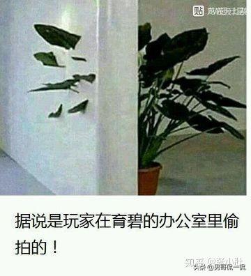和平精英除草思路gg（干货和平精英如何快速提高技术）