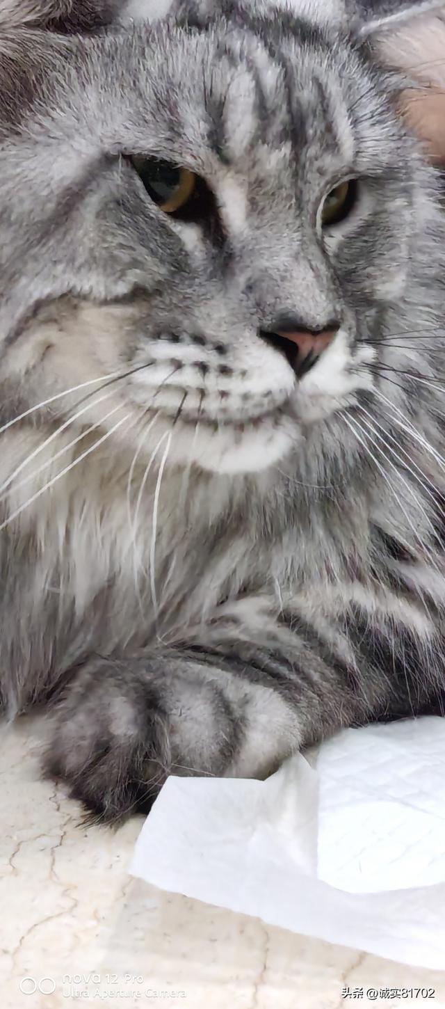 情是一个无价值的东西，有时候不能金钱和物质来衡量