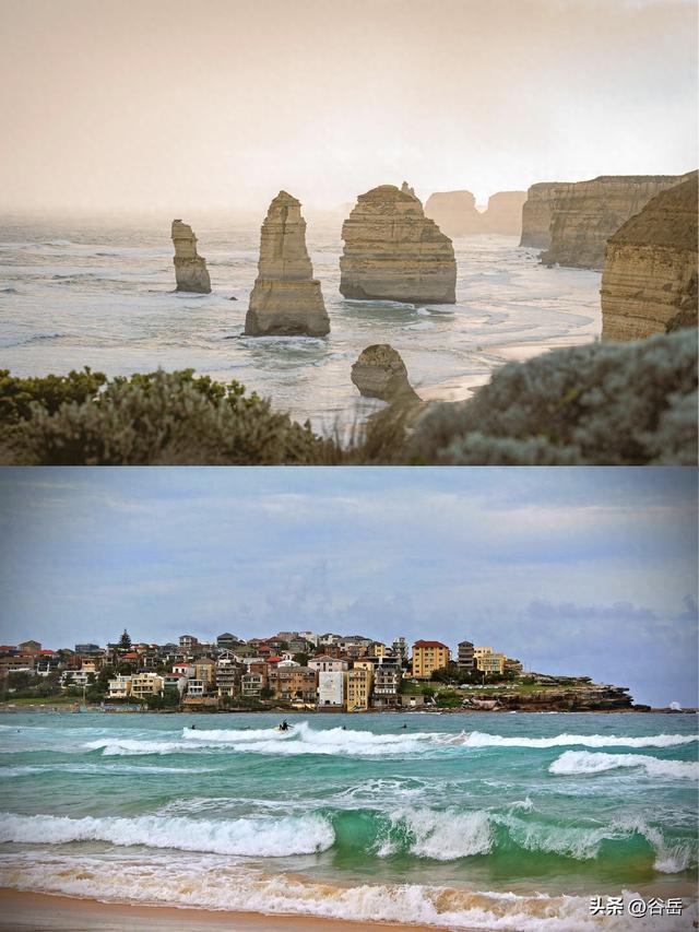 在塔斯马尼亚岛做小探险家