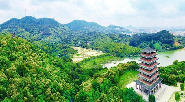 广东3个古树公园竣工 为城乡绿化增添新亮点