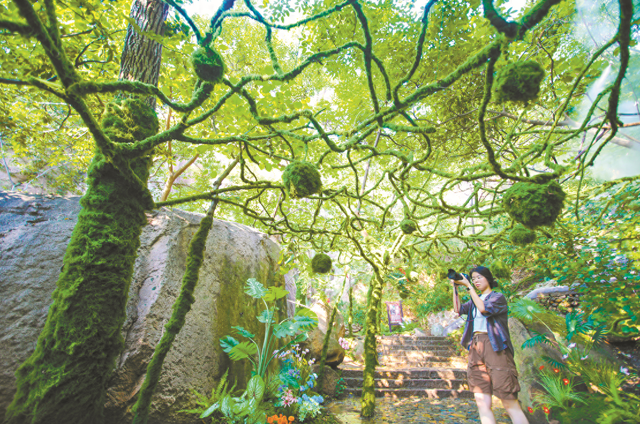 “绿野仙踪”醉游人