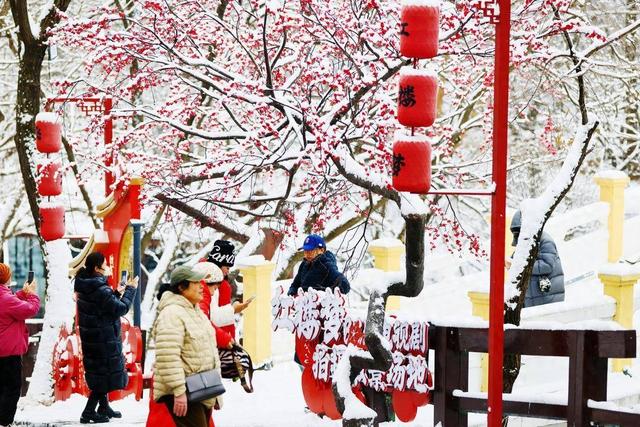 千山飞雪，踏雪寻梅