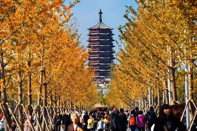 北京怎么玩游玩攻略来了（嗨玩不重样国庆中秋趣北京）