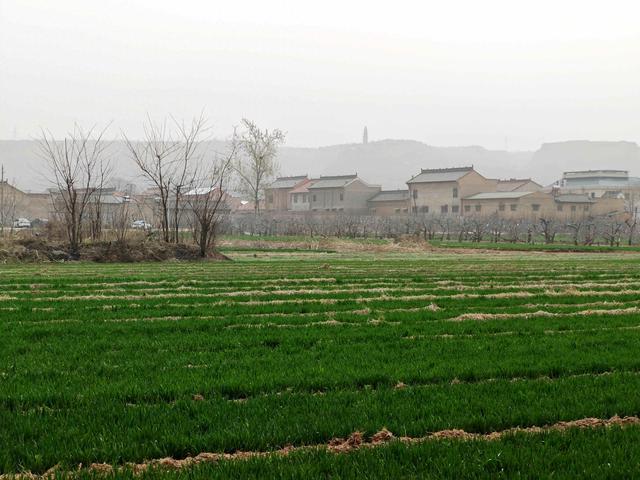 坡上孤塔——万荣八龙寺塔