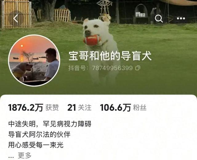 百万粉丝博主游鼎湖山感受“森呼吸”，善意相伴温暖旅途！