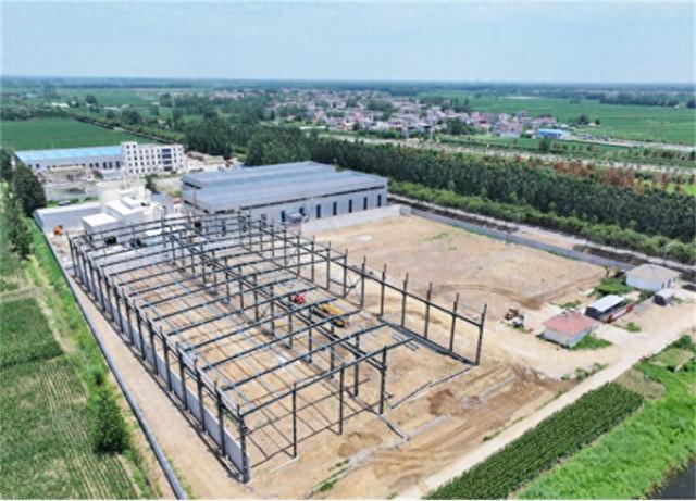 邳州邢楼网站建设（江苏邳州邢楼一个边界乡镇的产业突围之战）