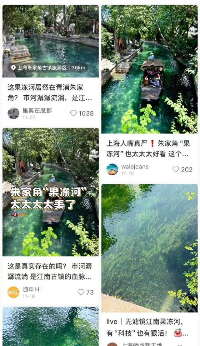 朱家角河水变身“果冻”河！青浦率先参加“旅超”大赛，一批新玩法上新，本周多景区折扣