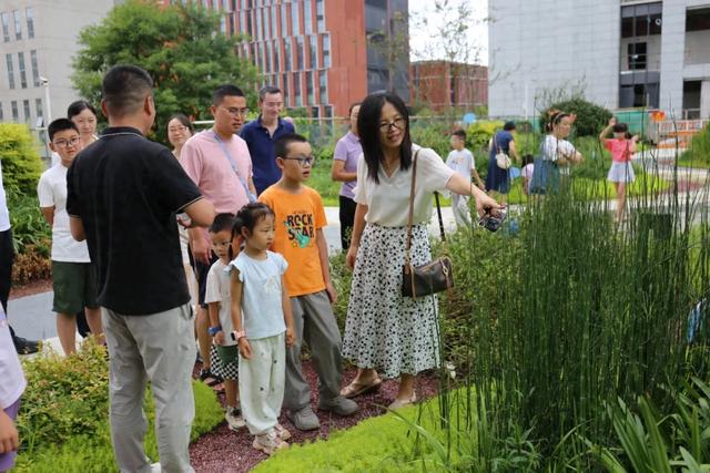托管班、研学游！中医药文化活动开启暑假岐黄热～