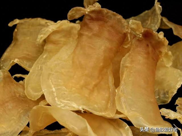 赤嘴鳘鱼 2026年赤嘴鳘鱼胶的功效及吃法