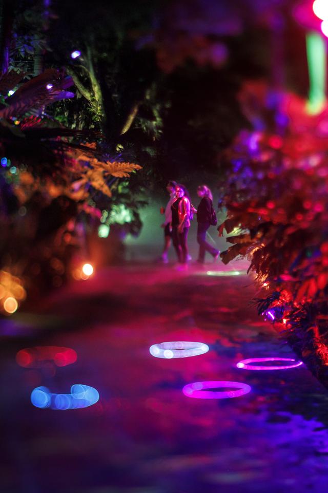 （外代二线）“夜间公园”灯光秀