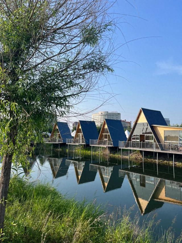离城不远，离自然很近！牙克石“这个基地”提供露营全体验