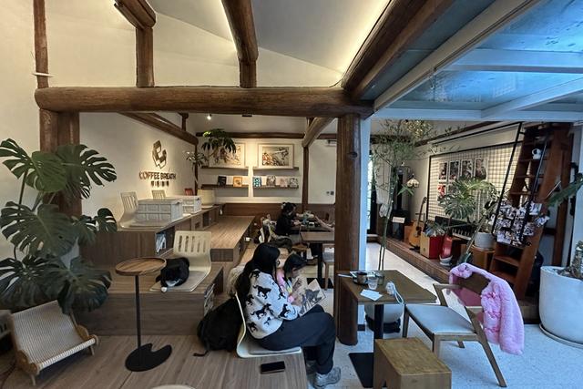 冬日胡同频添小而美空间，游客期待偶遇变“有约”