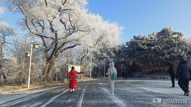 玉树琼枝缀龙山 雾凇美景醉游人