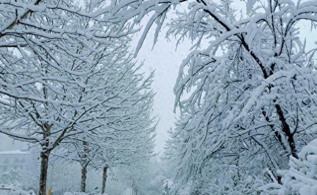 这不是迷信！“最怕立冬是雨天”，今日立冬，下雨啥预兆？