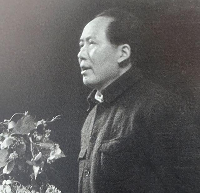 他是国军总司令	，毛主席唯独不接受他投降，老蒋：我也想杀了他