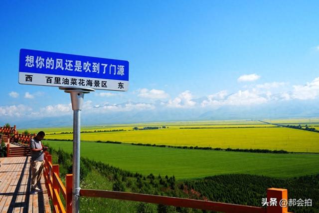 青海门源万亩油菜花海：登上四个观景点，各有风情入画来！