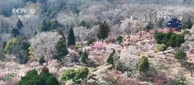 春日美景醉游人 与“花花世界”来一场浪漫邂逅