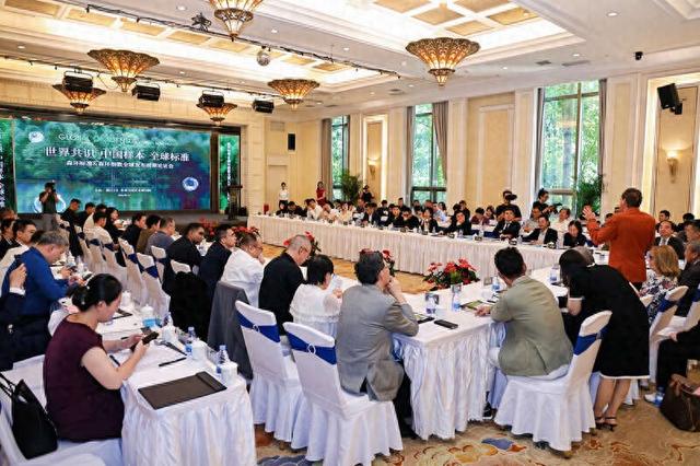 全球森环标准及森环指数论证会在穗举行